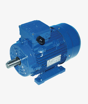 Motori elettrici import VL